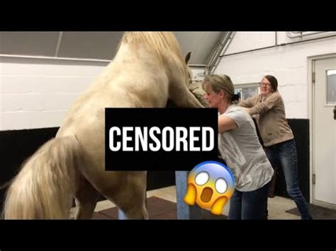 women fucks horse|Horse Fuck Me